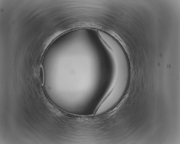 X0000084011089200703161707