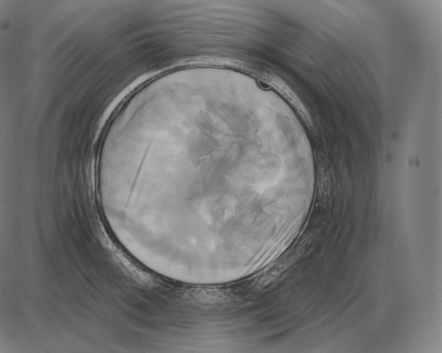 X0000084011092200703161707