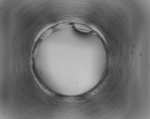 X0000084011093200703161707