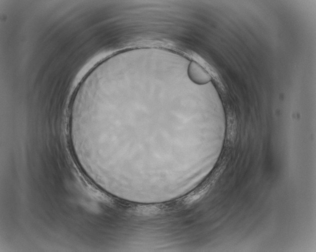 X0000084011094200703161707