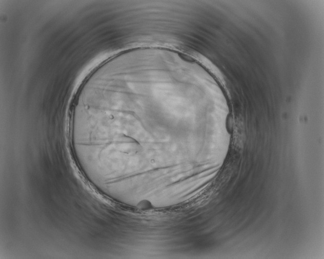 X0000084011096200703161707