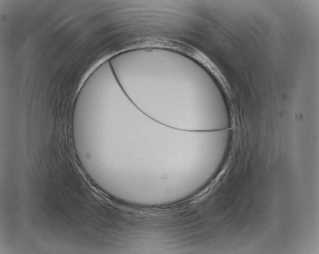 X0000084011097200703161707