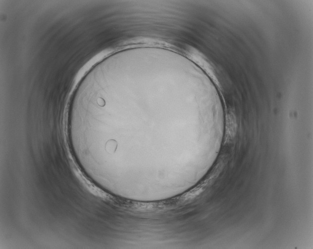 X0000084011098200703161707