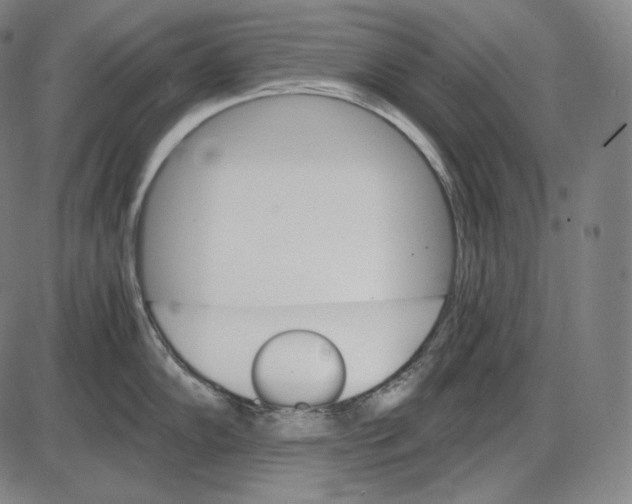 X0000084011102200703161707