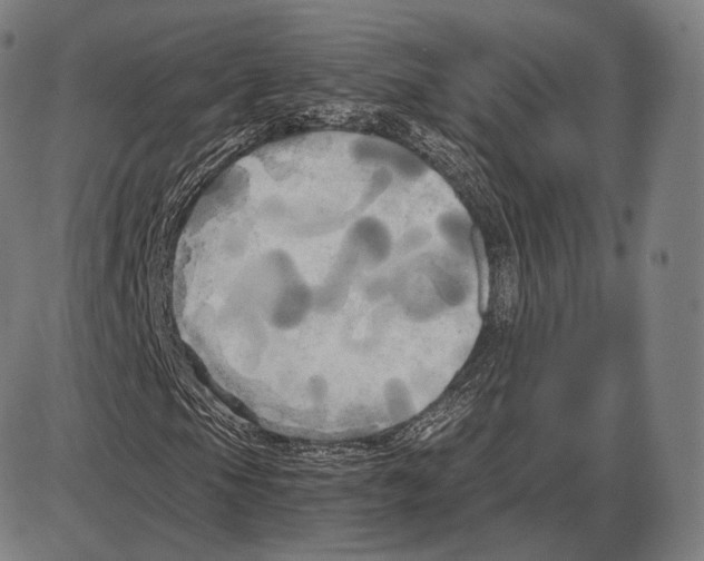 X0000084011105200703161706