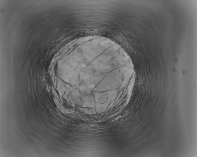 X0000084011106200703161706