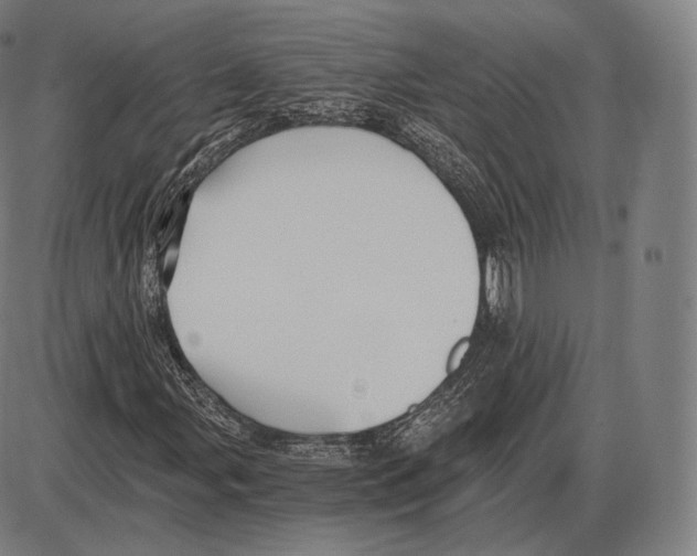 X0000084011107200703161706