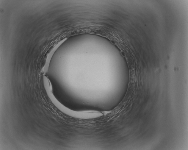 X0000084011109200703161706