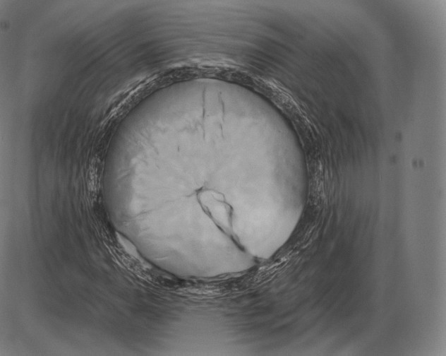 X0000084011110200703161706