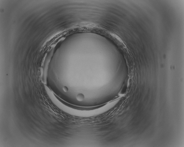 X0000084011112200703161707