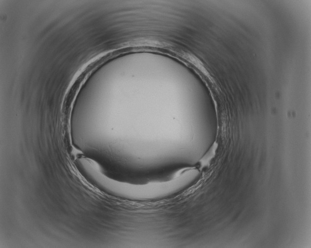 X0000084011116200703161707