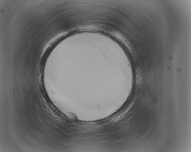 X0000084011117200703161707