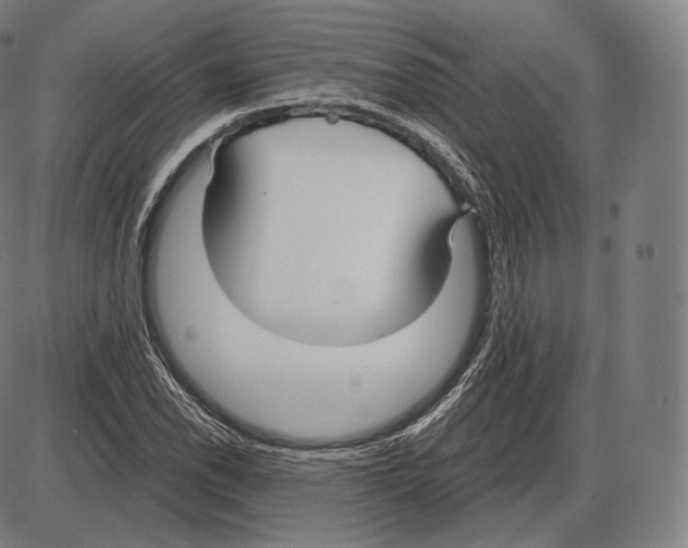 X0000084011118200703161707