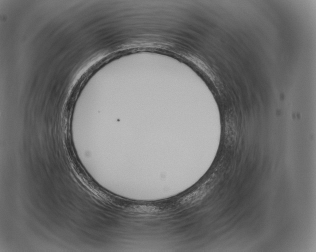 X0000084011119200703161707