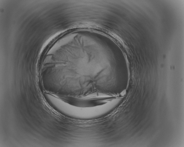 X0000084011120200703161707