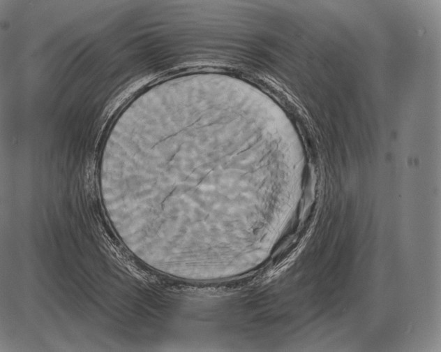 X0000084011121200703161707