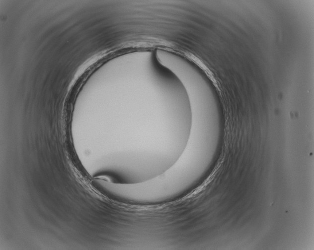 X0000084011122200703161707