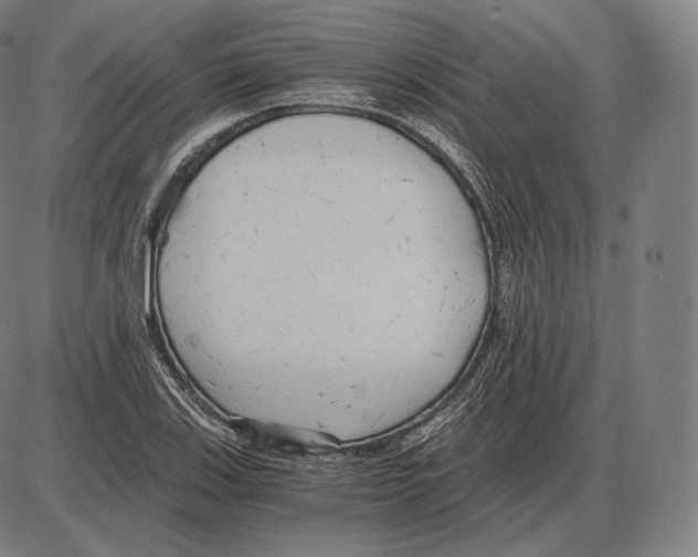 X0000084011123200703161707