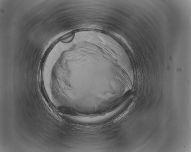 X0000084011125200703161707