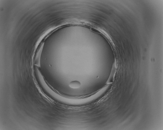 X0000084011128200703161707