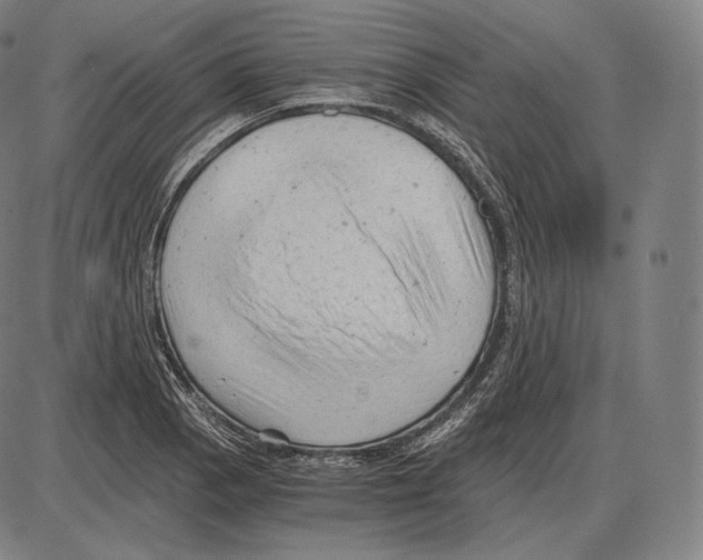 X0000084011129200703161707