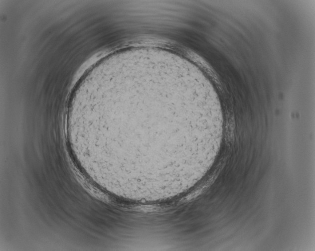 X0000084011130200703161707