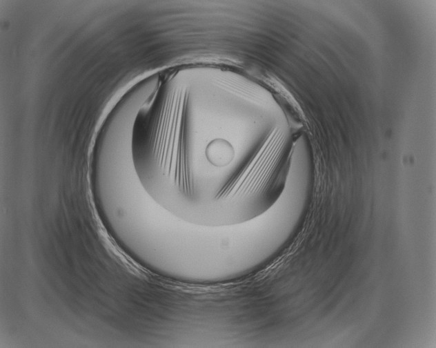 X0000084011132200703161707