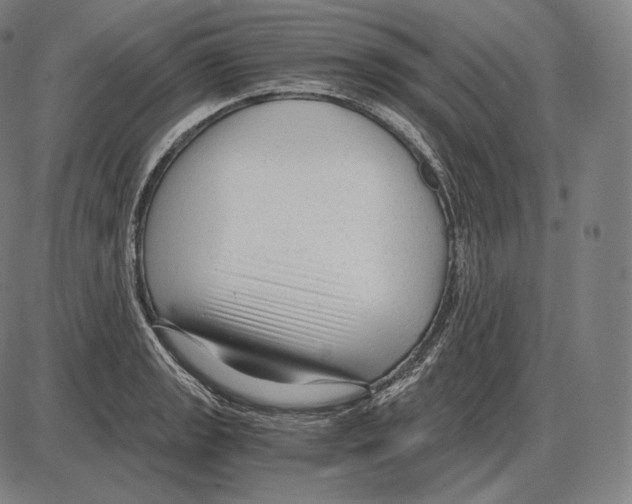 X0000084011133200703161707