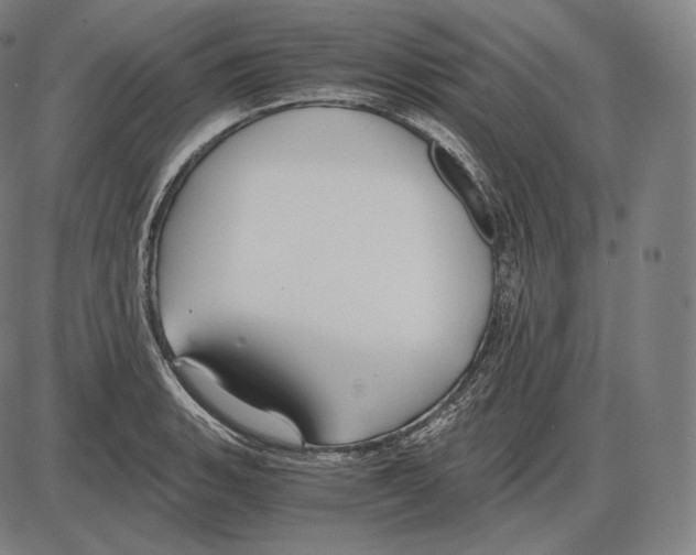 X0000084011135200703161707