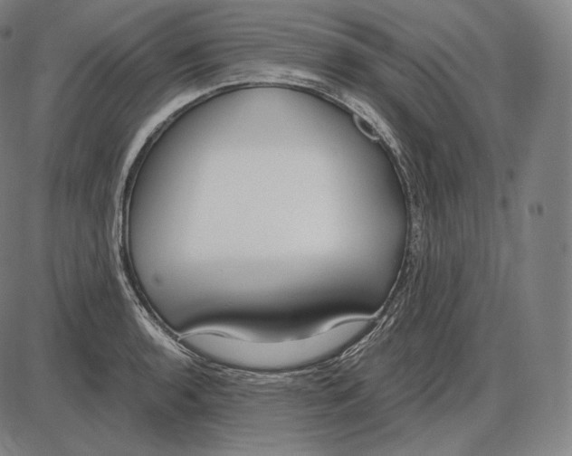 X0000084011136200703161707