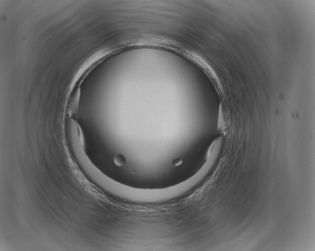 X0000084011138200703161707