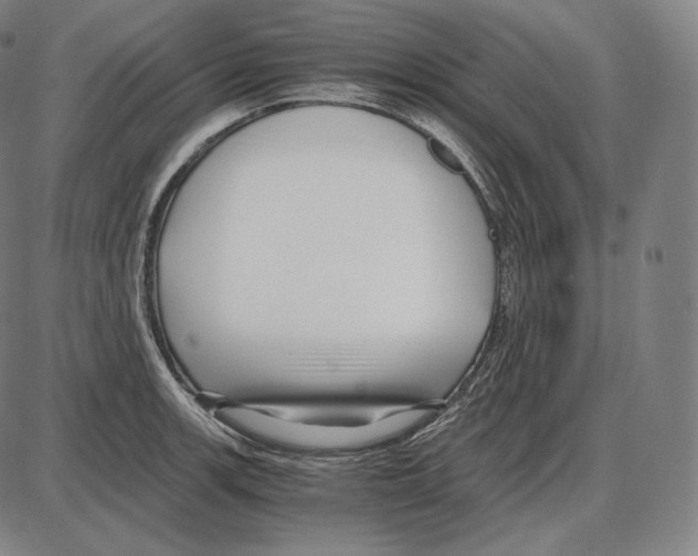 X0000084011139200703161707