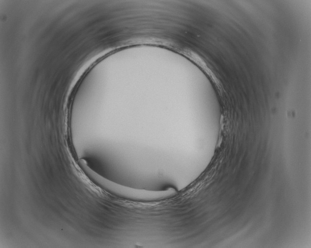 X0000084011140200703161707