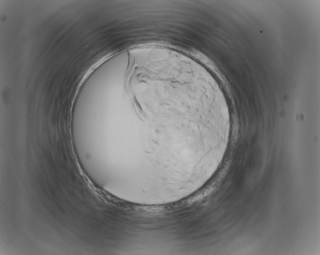 X0000084011145200703161707