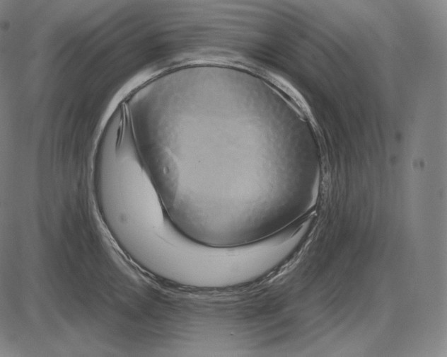 X0000084011146200703161707