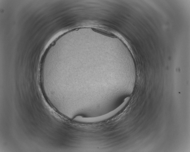 X0000084011147200703161707