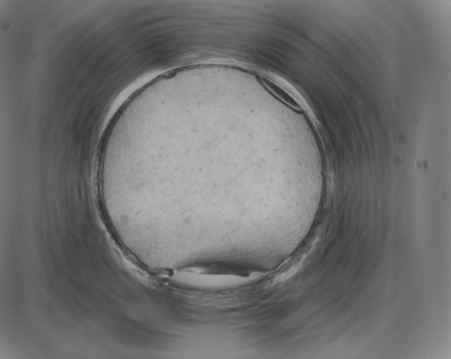 X0000084011149200703161707