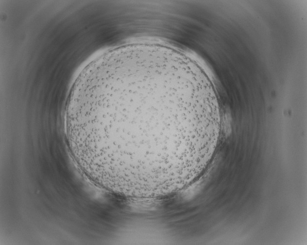 X0000084011150200703161707