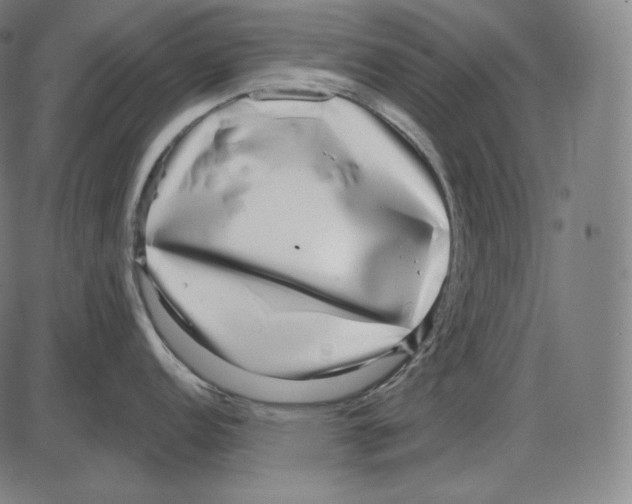 X0000084011152200703161707