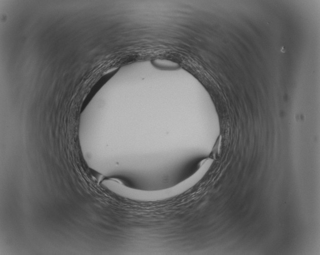 X0000084011153200703161706