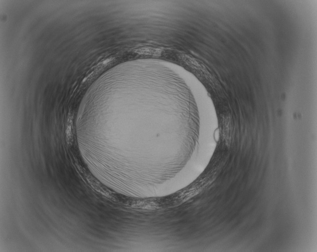 X0000084011154200703161706