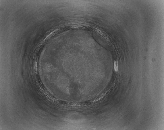 X0000084011155200703161706