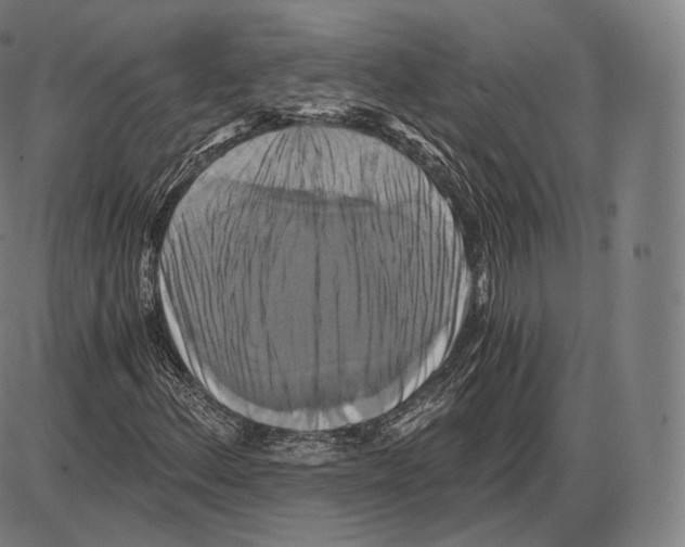 X0000084011156200703161706