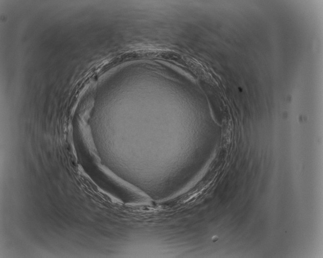 X0000084011157200703161706