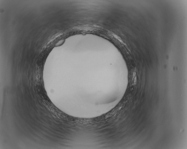 X0000084011158200703161706