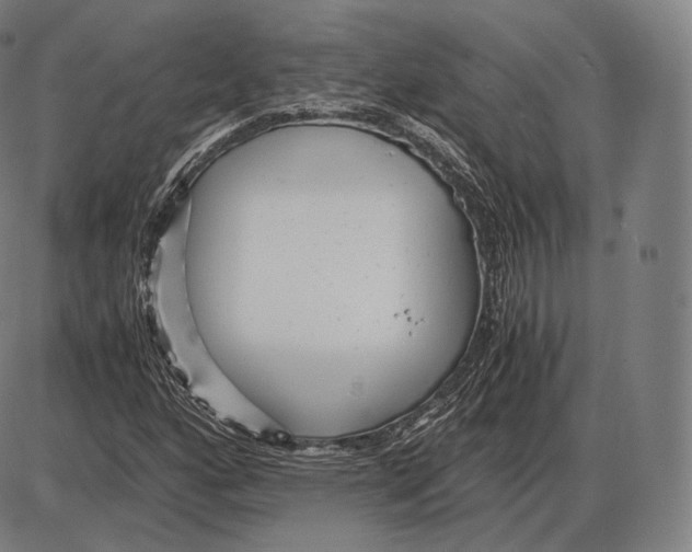 X0000084011160200703161706