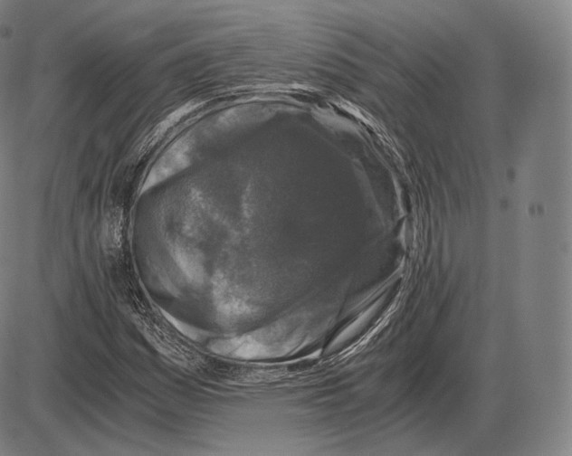 X0000084011161200703161706