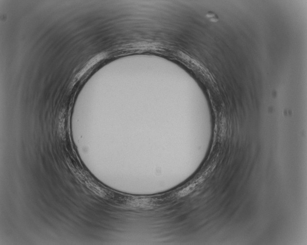 X0000084011162200703161706