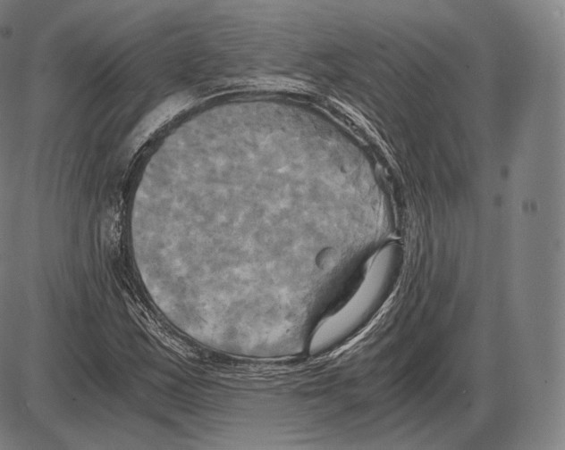 X0000084011163200703161706