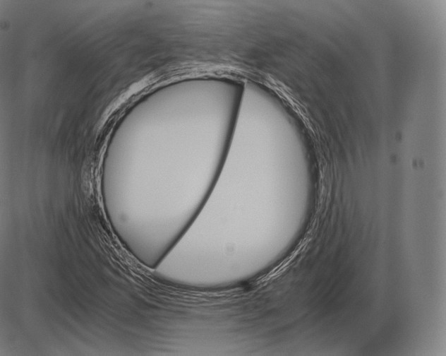 X0000084011165200703161706